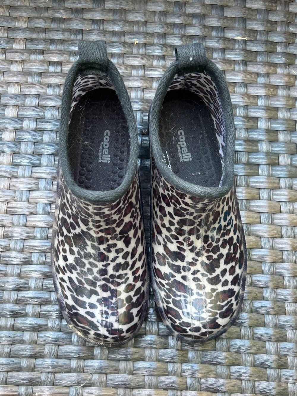 Capelli NY Cheetah / Leopard Jelly Low Rise Rain Boots size 6